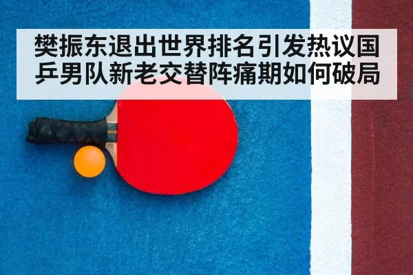 table tennis racket closeup
